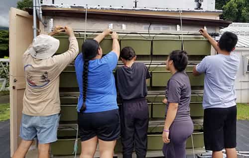 Environmental+Interior Design students participate in service-learning project: green roof and living walls