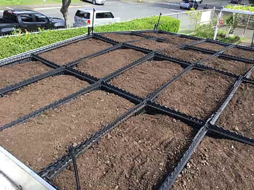 Environmental+Interior Design students participate in service-learning project: green roof and living walls