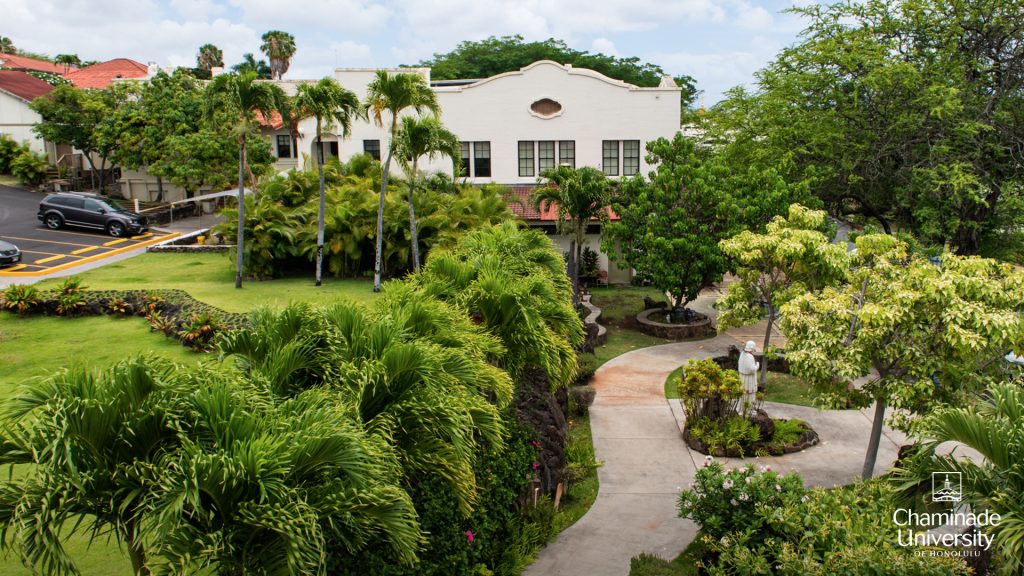 Sullivan Family Library Lawn