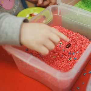 student in a montessori classroom