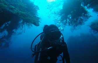Nicole Yamase '14 (BS Environmental Studies, BS Biology) doing field work