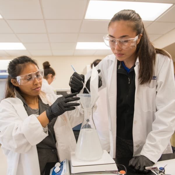 Science students in the laboratory