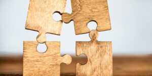 wooden puzzle pieces illustrating education behavioral sciences