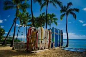 surf studies surfboard in surf rack
