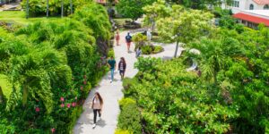 beautiful walkway on Chaminade University campus