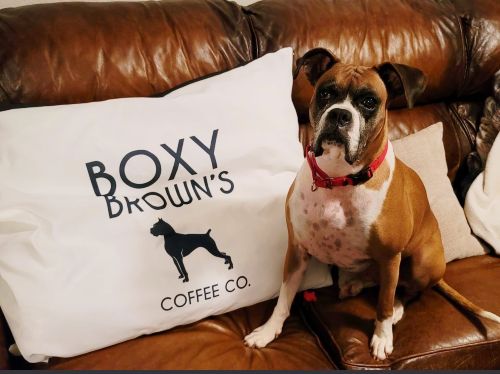 Oliver Carson's Boxy Brown's Coffee Co pillow and boxer
