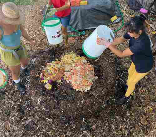 Cara Gutierrez pouring old food onto composting pile 