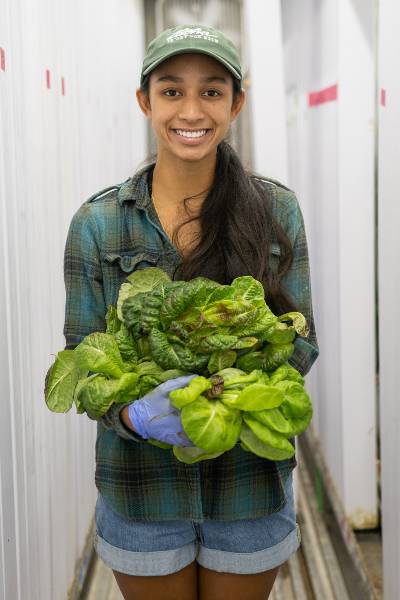 Lihau Stender working at Bee's Greens Co.