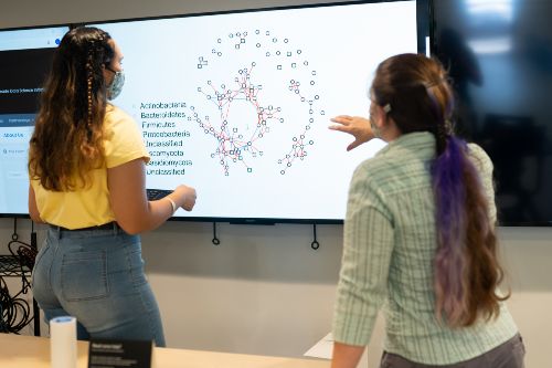 Data science student looking at data