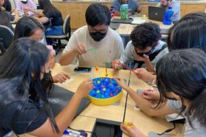 EECE summer institute