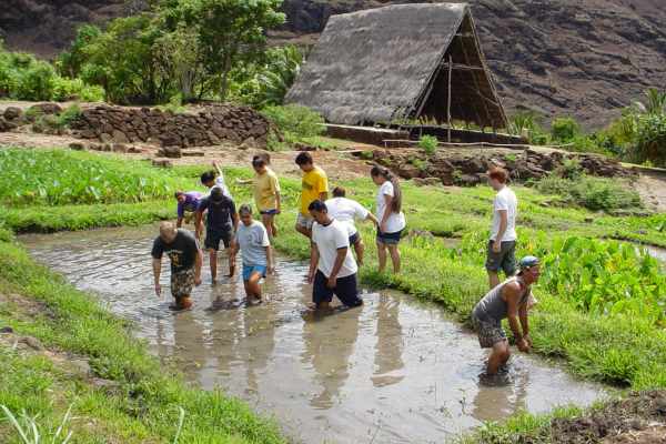 students in the loi patch