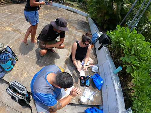 Participants learned how to collect data during the M2M:Mauka to Makai workshops.