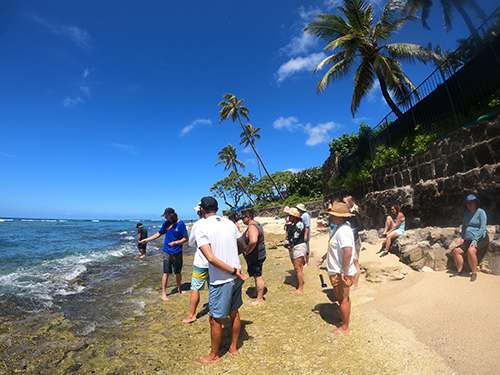 Cultural Engagement Specialist, Kahoalii Keahi-Wood points out limu near the shoreline of Diamond Head.