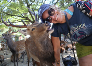 Considered the messengers of the gods, Nara's over 1000 deer have become a symbol of the city and have even been designated as a natural treasure.