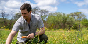 Ethan West stoops to the ground to check on the progress of his carrots.