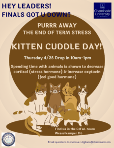 Kitten Cuddle Day
