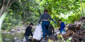 ENV 100 students help clean up the debris in Palolo Stream.