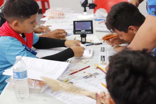 In this module students were introduced to the importance of OBSERVATION as a key part of not only the scientific process, but in our daily lives. They used their 5 senses as well as various scientific tools, such as magnifying glasses, digital and dissecting microscopes.