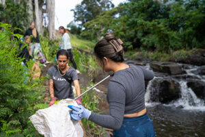 Dr. Lupita Ruiz-Jones and her ENV 100 students help with the cleanup of Palolo Stream.